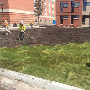 Workers Doing Landscaping Workers Doing Landscaping